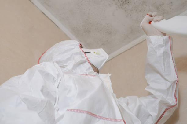 Crawl Space Mold Removal in Vineyards, FL